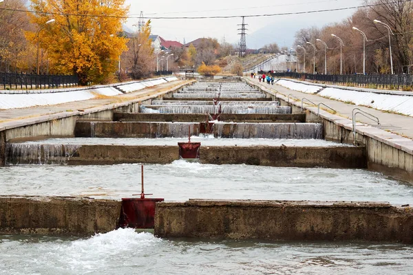Kazakistan 'ın Almaty şehrinden akan bir dağ nehrinde beton şelaleler ve setler.