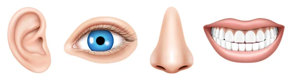 Realistic Human Face Parts Sensory Organs Set Body Parts Eye —  Fotos de Stock