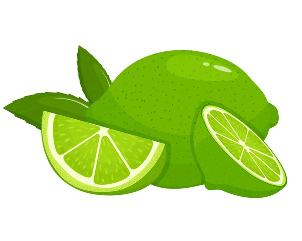 Fresh Whole Lime Half Lime Slice Leaves Isolated White Background — Stockfoto