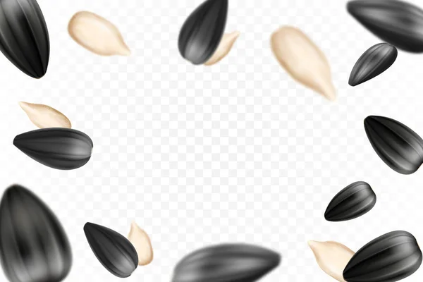 Sunflower Seeds Isolated Seamless Vector Pattern Realistic Shelled Seeds Isolated — Foto Stock