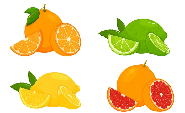 Набор Цитрусового Лимона Мандарина Лайма Апельсина Грейпфрута Целая Нарезанная Половина — стоковое фото