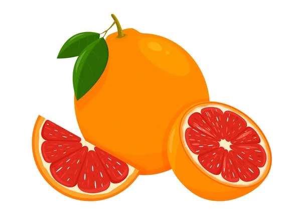 Ikon Grépfrút Egész Gyümölcs Másfél Szelet Levelekkel Izolált Vektor Illusztráció — Stock Fotó