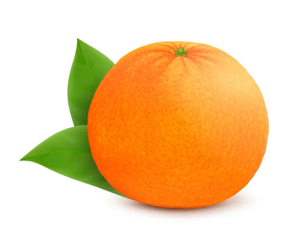 Ripe Juicy Orange Leaves Isolated White Background Realistic Vector Illustration — Stock Photo, Image