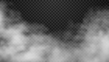 Fog or smoke isolated transparent special effect. White vector cloudiness, mist or smog background. Vector 3d realistic illustration
