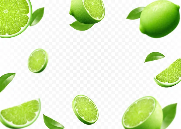 Flying Fresh Limes Lime Slices Leaves Blur Effect Vector Realistic — Stock fotografie