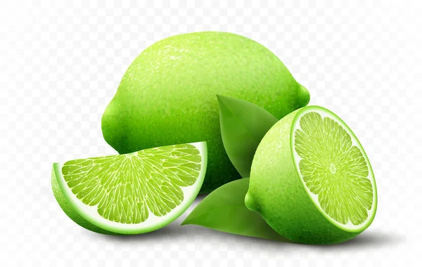 Fresh Lime Set Various View Whole Lime Fruit Halves Slices — 图库照片