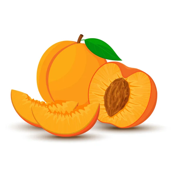 Image Peach Different Directions Vector Illustration Flat Style Whole Half — Photo