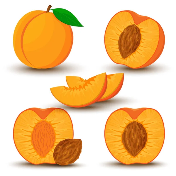 Image Peach Different Directions Vector Illustration Flat Style Whole Half — Fotografia de Stock