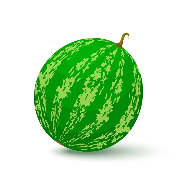 Watermelon Icon Flat Style Isolated Object Watermelon Logo Vector Illustration — Stock Photo, Image