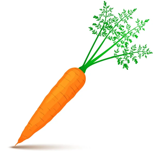 Carrot Icon Flat Design White Background Vector Illustration — Stock Photo, Image