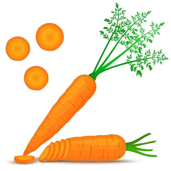 Bright vector set of colorful half, slice and whole carrots. Fresh cartoon vegetable isolated on white background. The illustration is used for magazine, book, poster, card, cover menu, web pages.