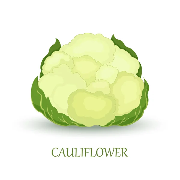 White Cauliflower Vegetable Whole Cauliflower Isolated White Background Organic Food — Stockfoto