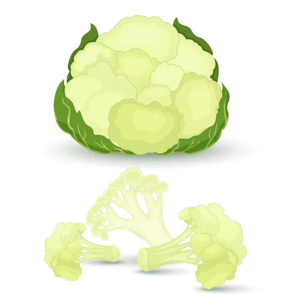 Fresh Cauliflower Whole Cut Inflorescence Isolated White Background Vector Illustration —  Fotos de Stock