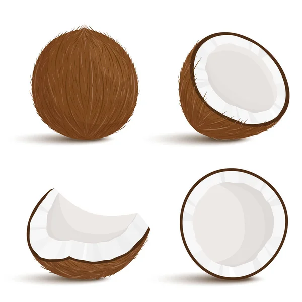 Set Exotic Whole Half Cut Pieces Coconut Fruit Isolated White —  Fotos de Stock