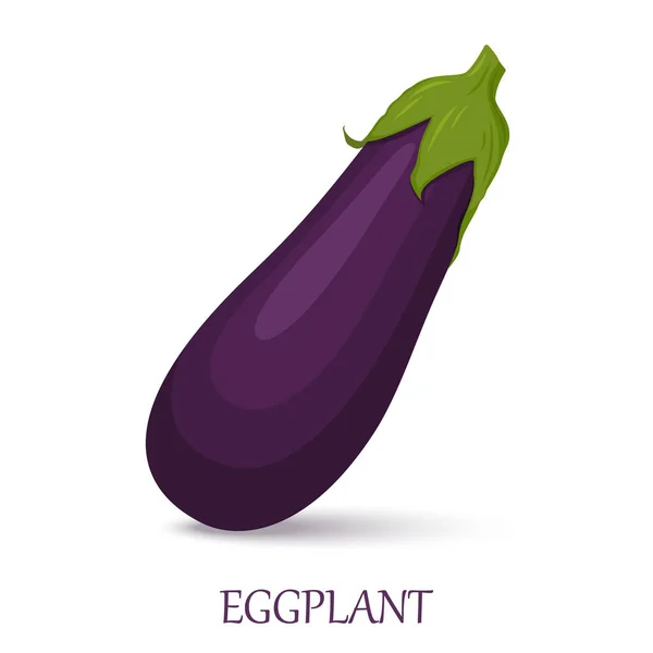 Eggplant Isolated White Background Vector Ingredients Salad Flat Design — Stok fotoğraf