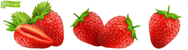 Strawberry Realistic Isolated Vector Illustration Strawberries Leaf White Background Set — 스톡 사진