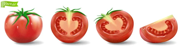 Tomatoes Set Realistic Vector Isolated White Background Detailed Fresh Whole — 图库照片