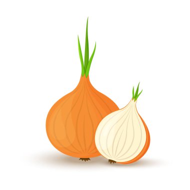 Onion. Whole onion and cut onion. Flat simple design. Vector illustration of organic farm fresh vegetables. Isolated on white background.