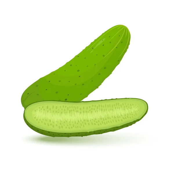 Whole Sliced Cucumber Vegetables Vector Illustration Cartoon Flat Icon Isolated — Photo