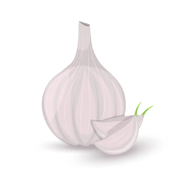 Garlic Garlic Clove Isolated White Background Illustration Aromatic Condiment Seasoning —  Fotos de Stock