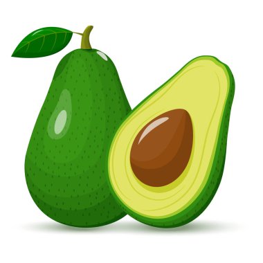Avokado tam ve yarım. Tohumlu yeşil avokado. Beyaz arka planda meyveler izole edilmiş. Düz dizayn. vektör illüstrasyonu