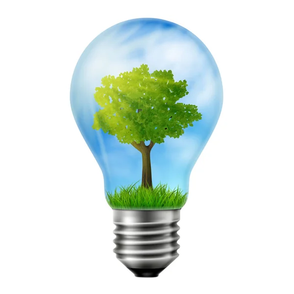 Tree Growing Light Bulb —  Fotos de Stock