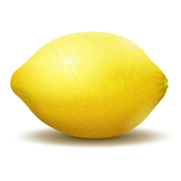 Lemon Realistic Vector Illustration Lemon White Background — Stok fotoğraf