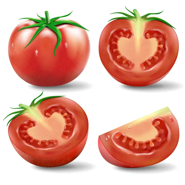 Tomato set .A set of realistic illustration ripe tomato in various cuts such as a cut in half, cut in piece, slices, cross cut and tomato leaf isolated on white background