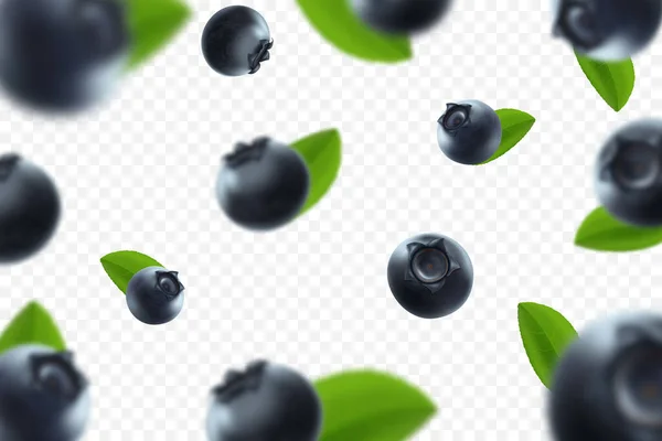 Blueberry Background Fresh Berry Green Leaves Transparent Background Flying Defocusing — Stockfoto