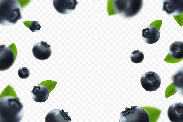 Blueberry Background Fresh Berry Green Leaves Transparent Background Flying Defocusing — Foto de Stock