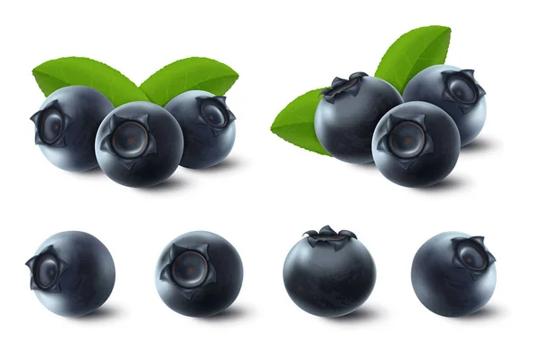 Vector Realistic Raw Blueberry Green Leaves Isolated White Background Ripe — Fotografia de Stock
