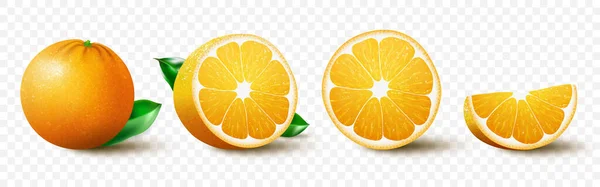 Fresh Orange Fruit Set Juicy Orange Leaves Half Slice Whole — Stockfoto