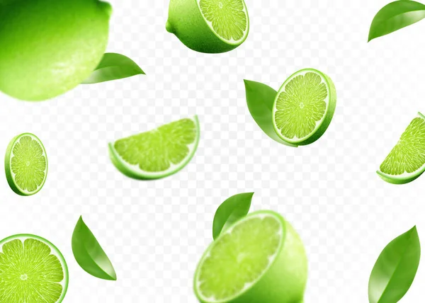 Flying Fresh Limes Lime Slices Leaves Blur Effect Vector Realistic — Διανυσματικό Αρχείο