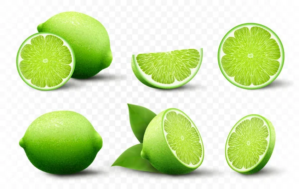 Set of fresh Lime. Whole, half, cut slice lime fruits isolated on transparent background. Summer citrus for healthy lifestyle. Organic fruit. Realistic 3d Vector illustration for any design.