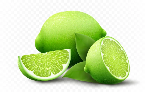 Fresh Lime Set Various View Whole Lime Fruit Halves Slices — 图库矢量图片