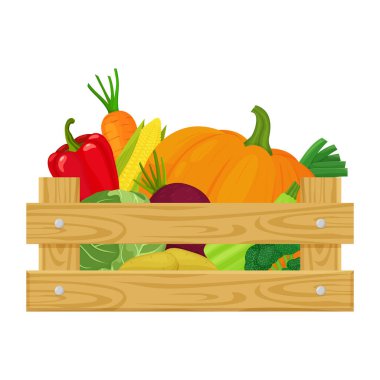 Wooden box with different fresh vegetables, Isolated on white background. Vector illustration of farm organic food cartoon flat style.