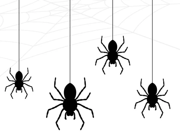 Spider Collection Cobweb Isolated White Background Illustration Halloween Design Spider — Wektor stockowy