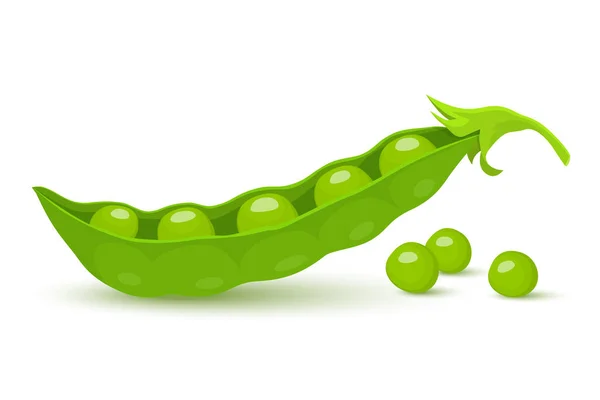 Green Pea Green Peas Pods Isolated White Background Vector Flat — ストックベクタ