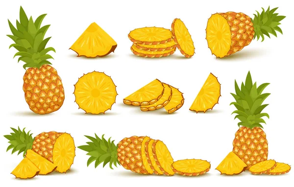 Pineapple Set Pineapple Collection Whole Sliced Pineapple Isolated White Background — Stok Vektör