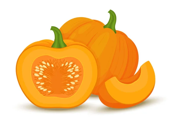 Тыквенный Набор Целую Половину Апельсиновых Тыкв Кусок Семенами Осенний Урожай — стоковый вектор