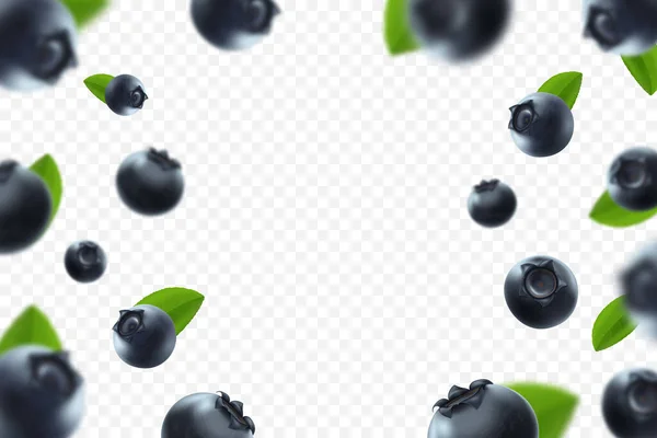 Blueberry Background Fresh Berry Green Leaves Transparent Background Flying Defocusing — 스톡 벡터