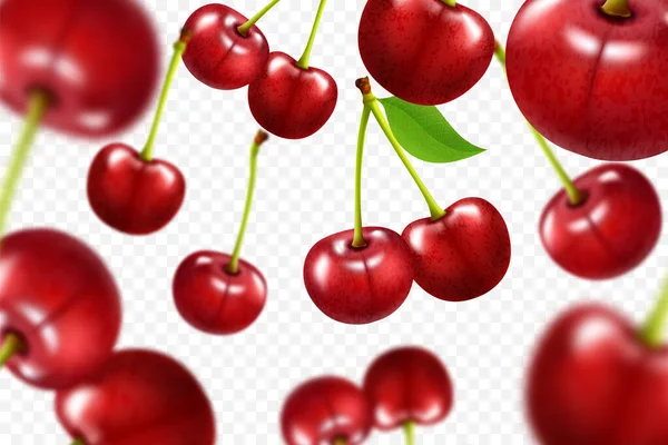 Flying Red Cherry Background Realistic Quality Vector Collection Set Cherries — Stock Vector