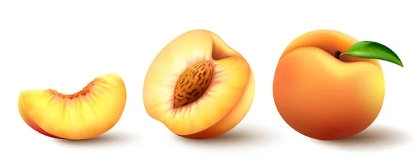 Realistic Fresh Peaches Isolated White Background Bright Vector Set Colorful — Vetor de Stock