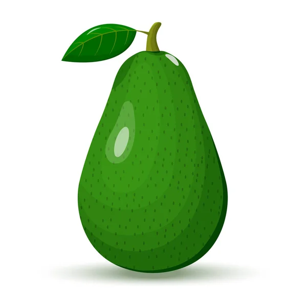Whole Avocado Leaf Isolated White Background Vector Illustration Flat Design — Archivo Imágenes Vectoriales