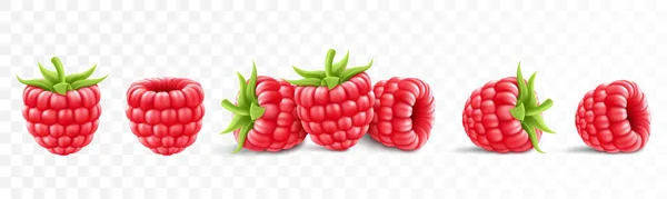 Collection Ripe Raspberries Isolated Background Natural Summer Fruit Realistic Vector — Archivo Imágenes Vectoriales