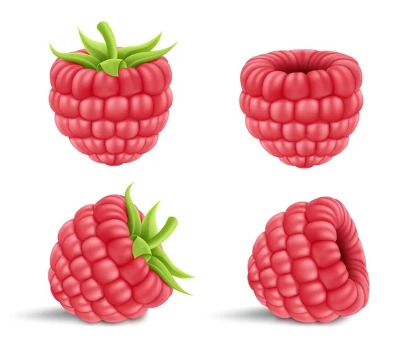 Collection Ripe Raspberries Isolated Background Natural Summer Fruit Realistic Vector - Stok Vektor
