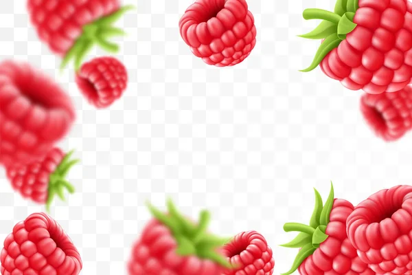 Raspberry Background Flying Raspberry Green Leaf Transparent Background Raspberry Falling — Vetor de Stock