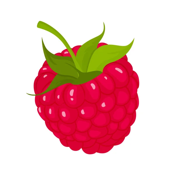 Raspberry Leaf Isolated White Background Raspberry Vector Icon Clipart Raspberry — Stock Vector