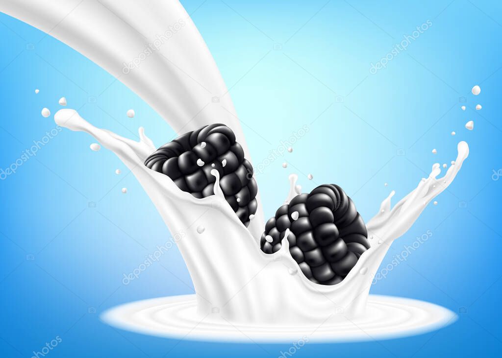 Fresh blackberry in a splash of milk or yogurt. Fresh berry falls into the milk. 3d realistic vector illustration, isolated on blue background. Sweet food. Organic fruit.