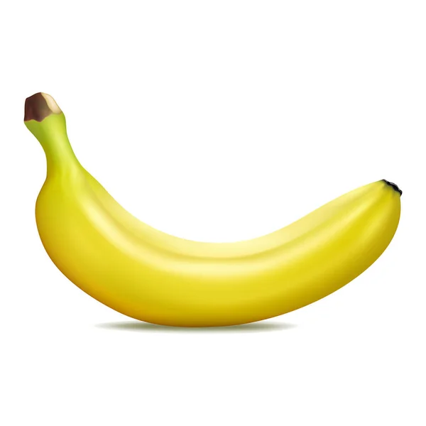 Banán Reális Vektor Illusztráció Elszigetelt Fehér Háttér — Stock Vector